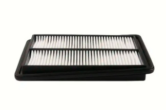 Filtro dell'aria premio OE del motore per veicoli: 16546-4BA1A per Nissan Rogue, Qashqai (14-19)      Descrizione di prodotto